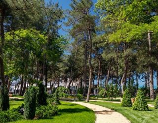 Отель "ПРИМОРЬЕ GRAND RESORT HOTEL" / "Приморье Гранд Резорт"