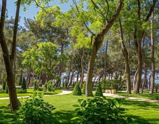 Отель "ПРИМОРЬЕ GRAND RESORT HOTEL" / "Приморье Гранд Резорт"