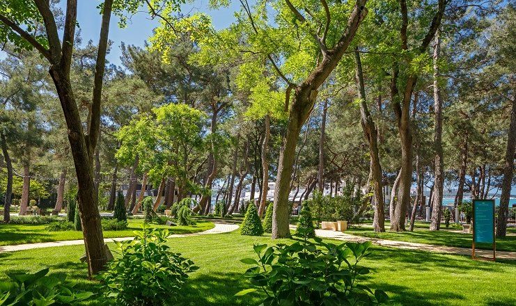 Отель "ПРИМОРЬЕ GRAND RESORT HOTEL" / "Приморье Гранд Резорт"